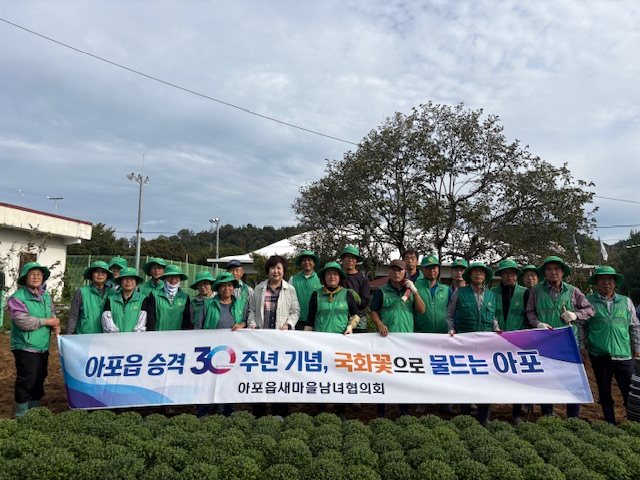 아포읍 30번째의 가을을 국화꽃으로 단장하다
