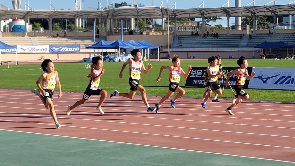 보은군, 제6회 전국 초·중·고등학교 학년별 육상경기대회 개최