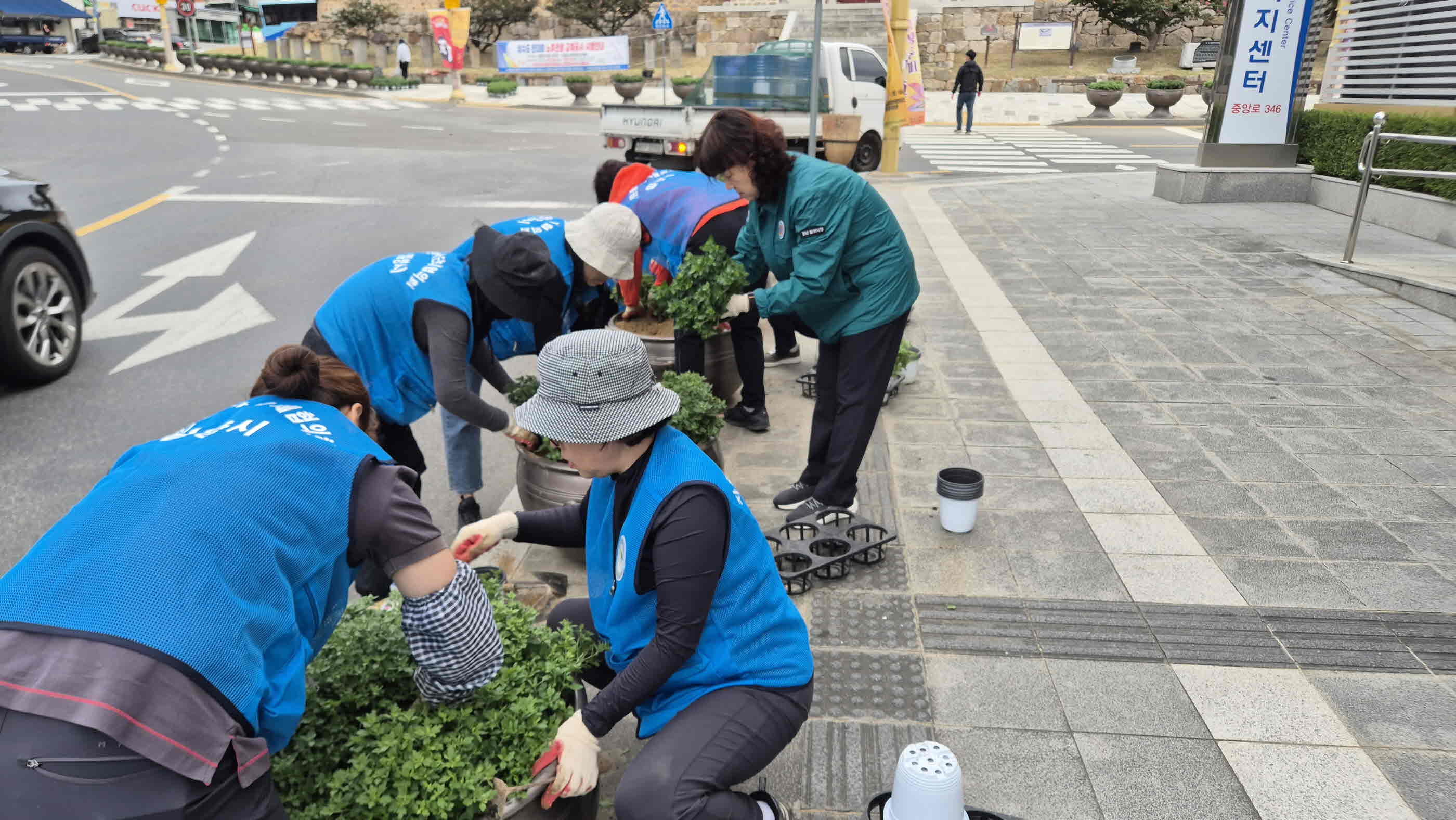밀양시 내일동, 거리마다 가을꽃 활짝