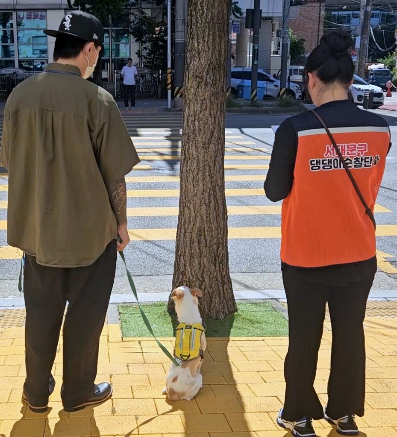 서대문구 제2기 댕댕이 순찰단 선발 추진