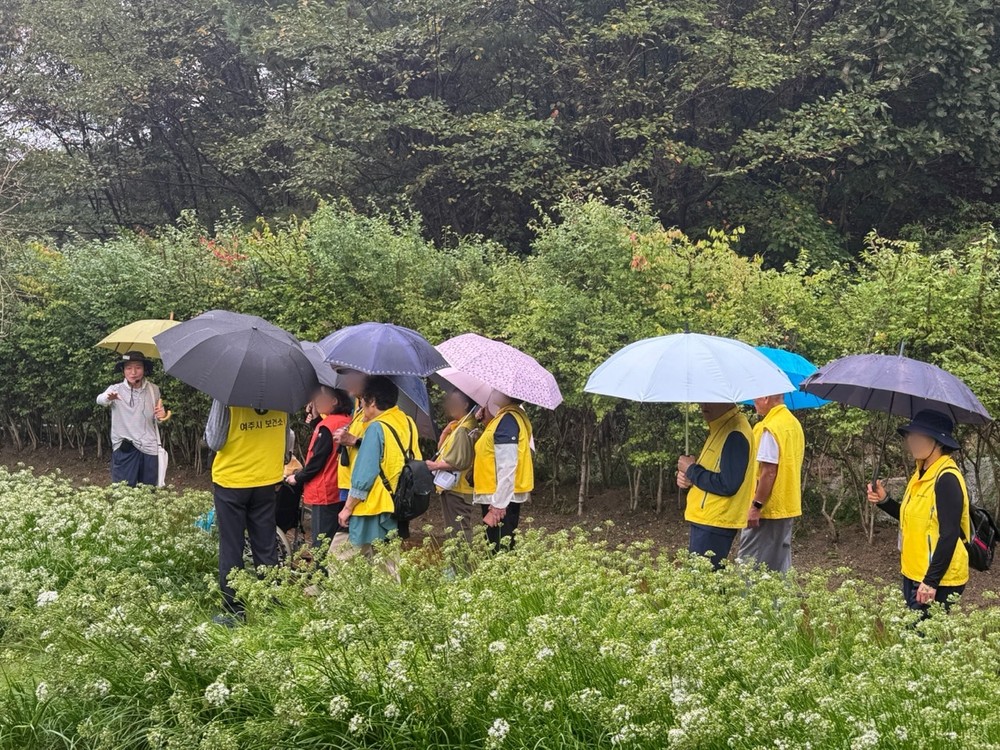 치매환자와 가족이 함께한 산림치유 프로그램 진행