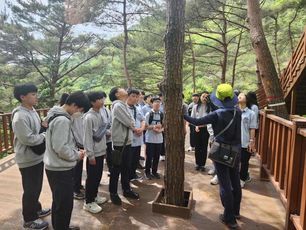 밀양시, 도래재 자연휴양림 산림교육 프로그램 운영