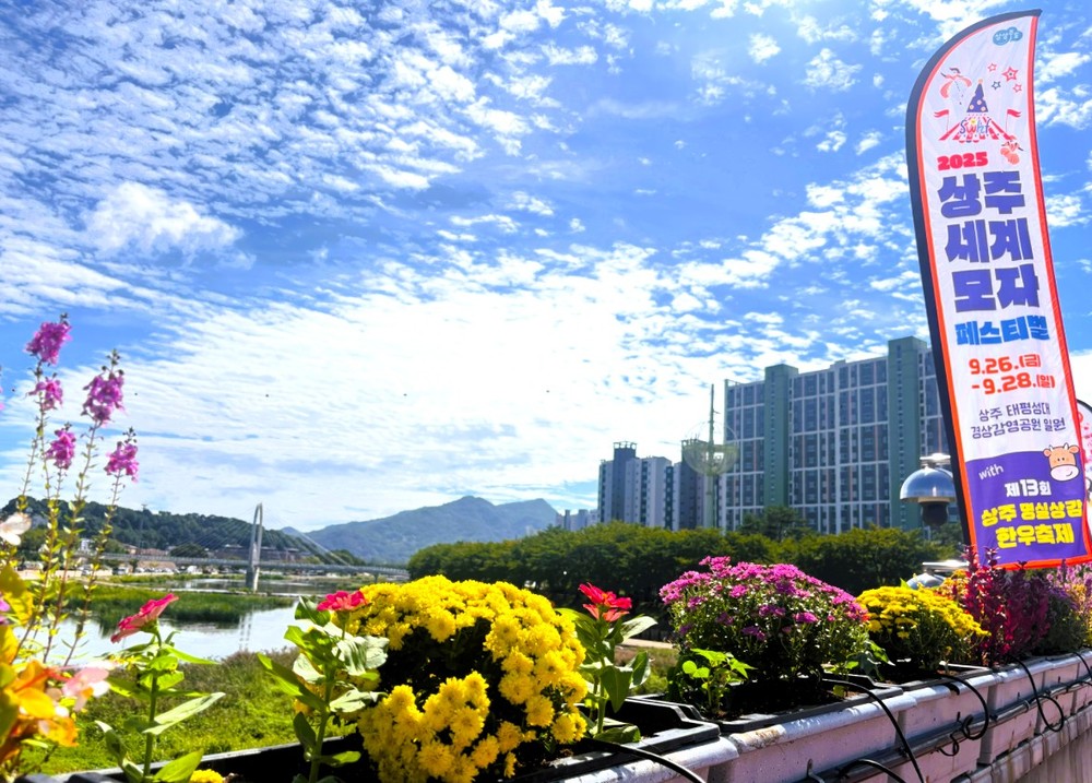자체 양묘장에서 생산된 꽃모로 축제와 도심 경관 물들인다