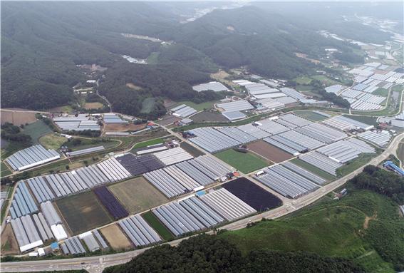 횡성군, 스마트 원예단지 기반조성 공모사업 선정