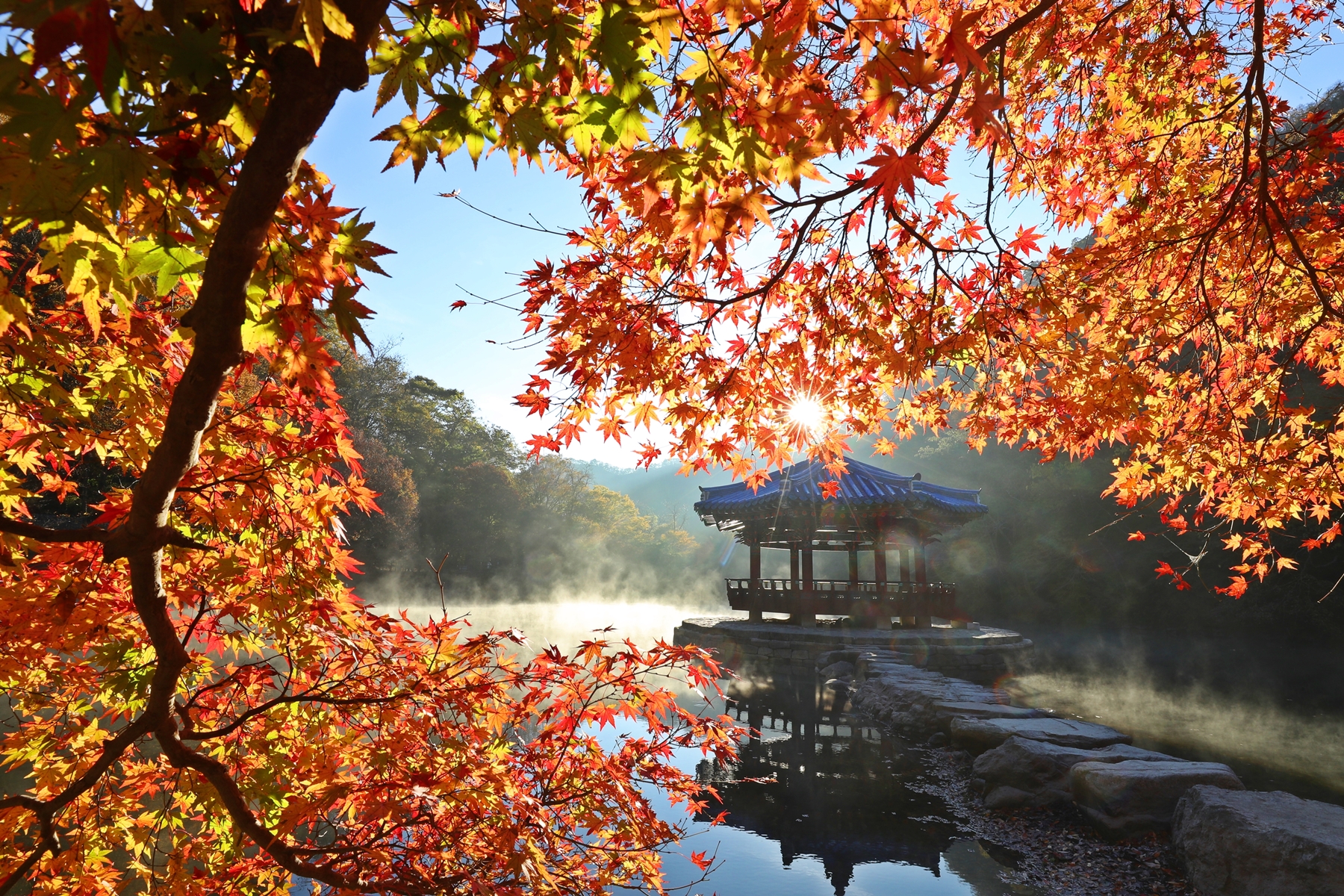 축제는 풍성하게, 관광은 쾌적하게! 확 달라진 정읍의 가을