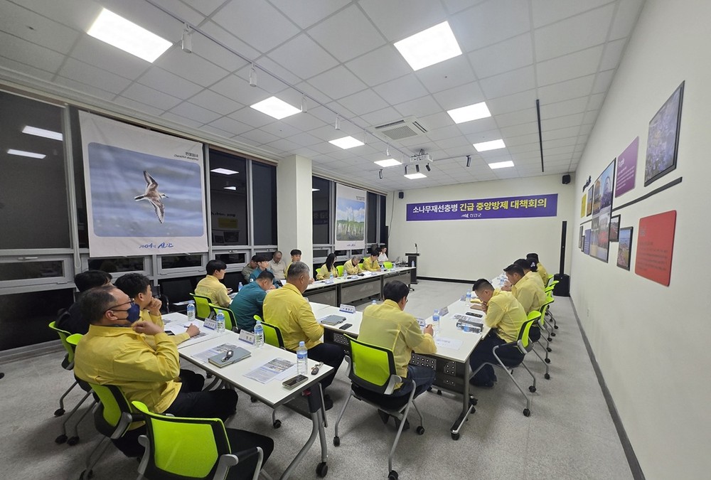 신안군 자은도, 소나무재선충병 발생