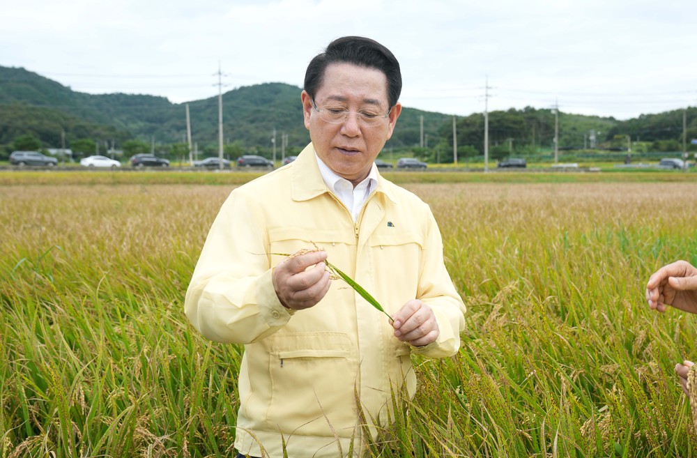 김영록 지사, 깨씨무늬병 확산 피해 현장 점검