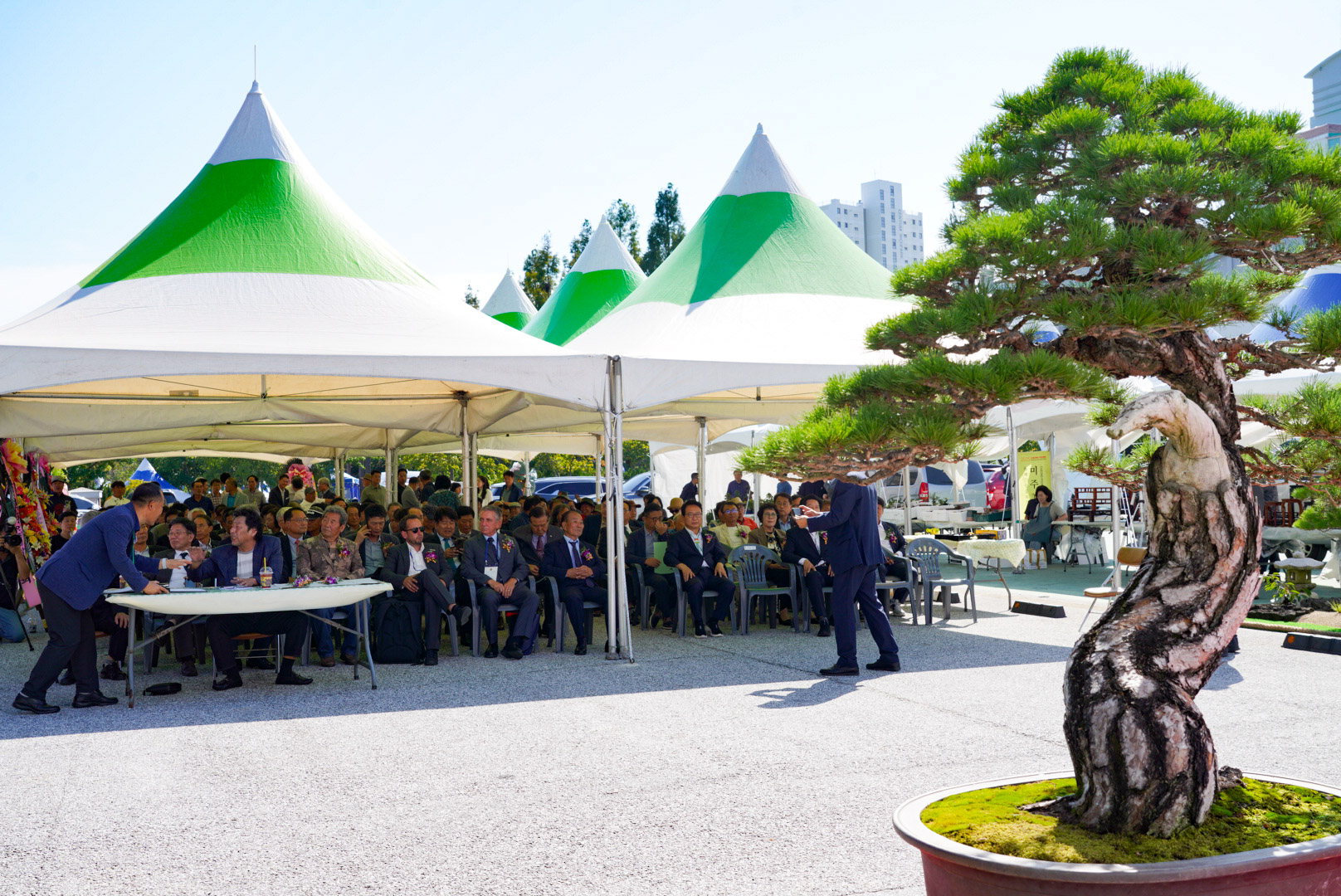 ‘한국 분재의 진수’제35회 한국분재대전 울진 개막