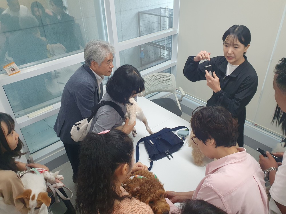 새 가족 만난 유기견들의 특별한 재회