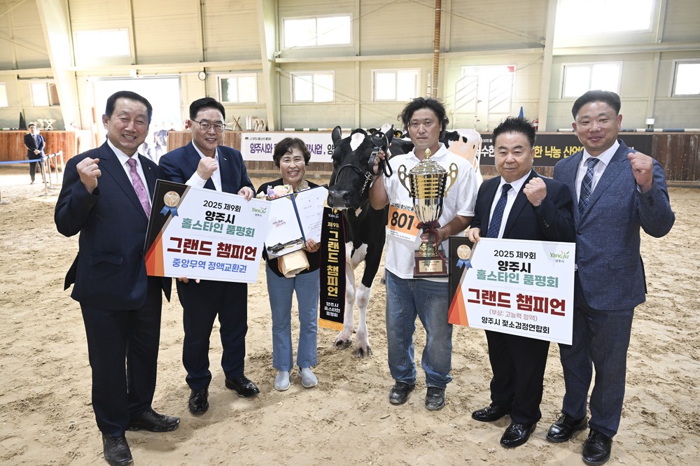 2025년 제9회 양주시 홀스타인 품평회 성황리 개최