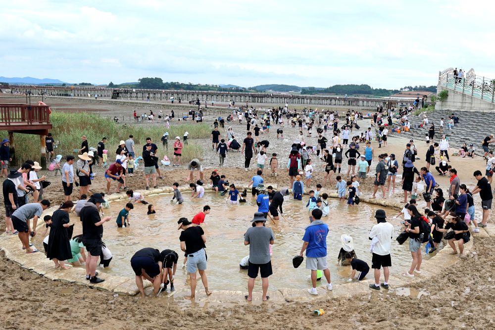 무안황토갯벌축제 장어잡기 체험 및 수산물 판매장 ‘성료’