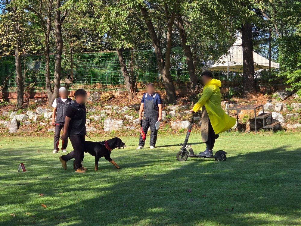 경기도, 맹견소유자는 10월 26일까지 ‘맹견사육허가’ 받아야