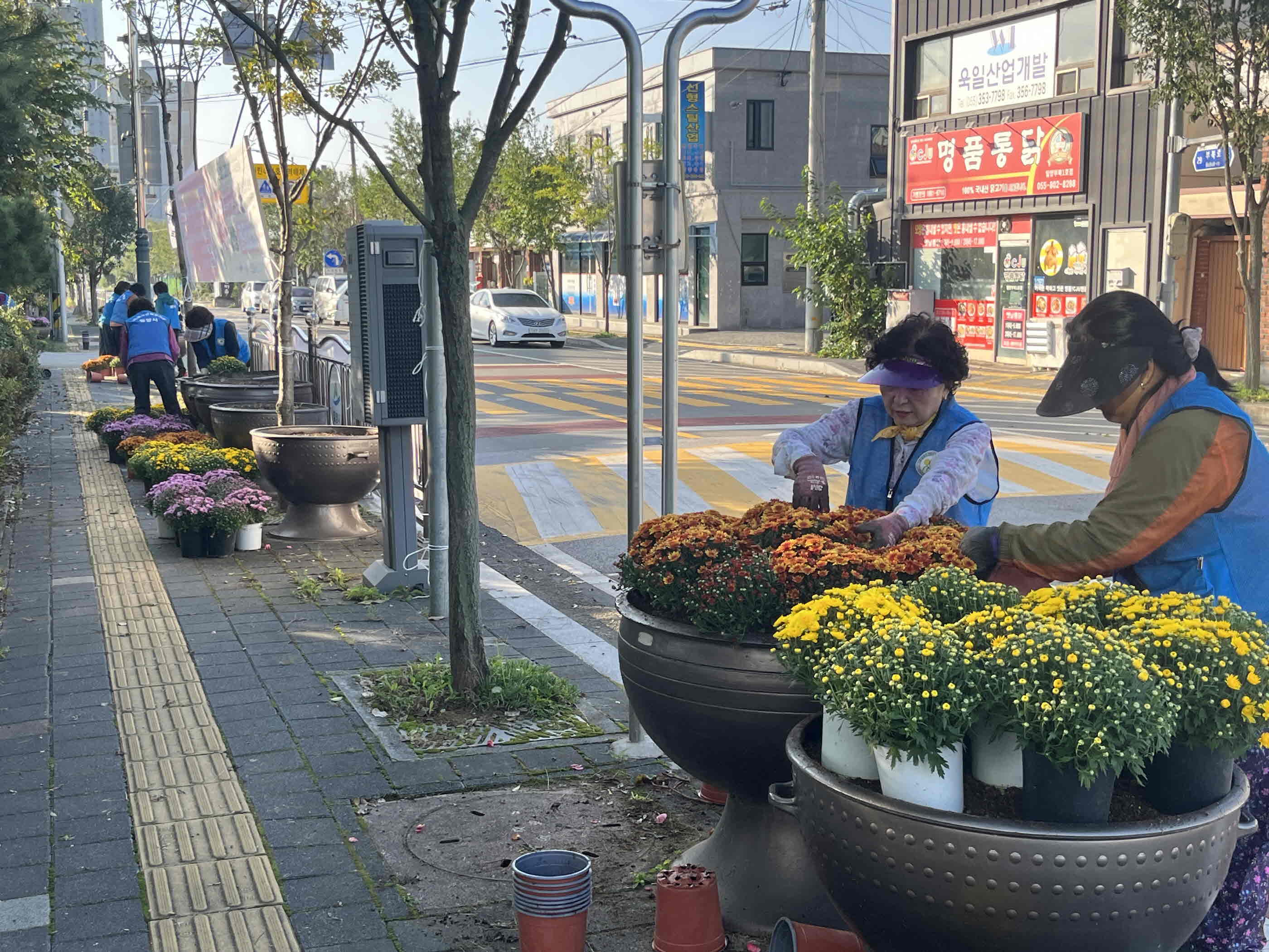 부북면, 주요 도로 및 화단 국화 식재