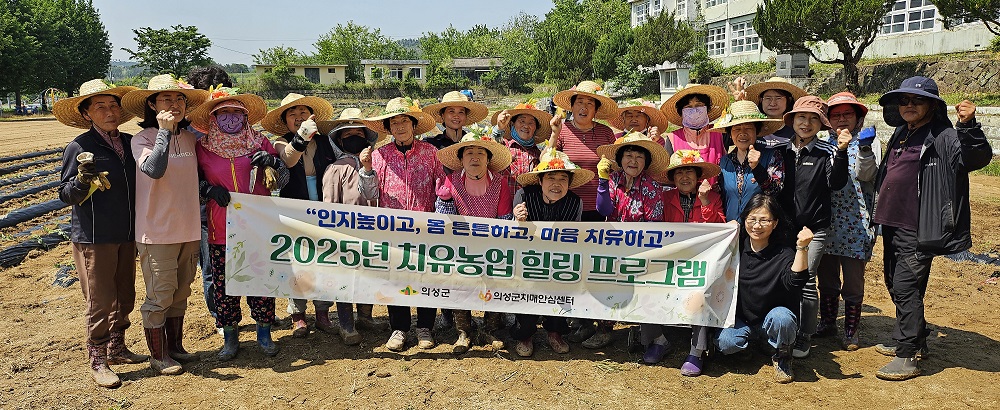 의성군, 서부1리 치매보듬마을서 고구마 수확행사 열어