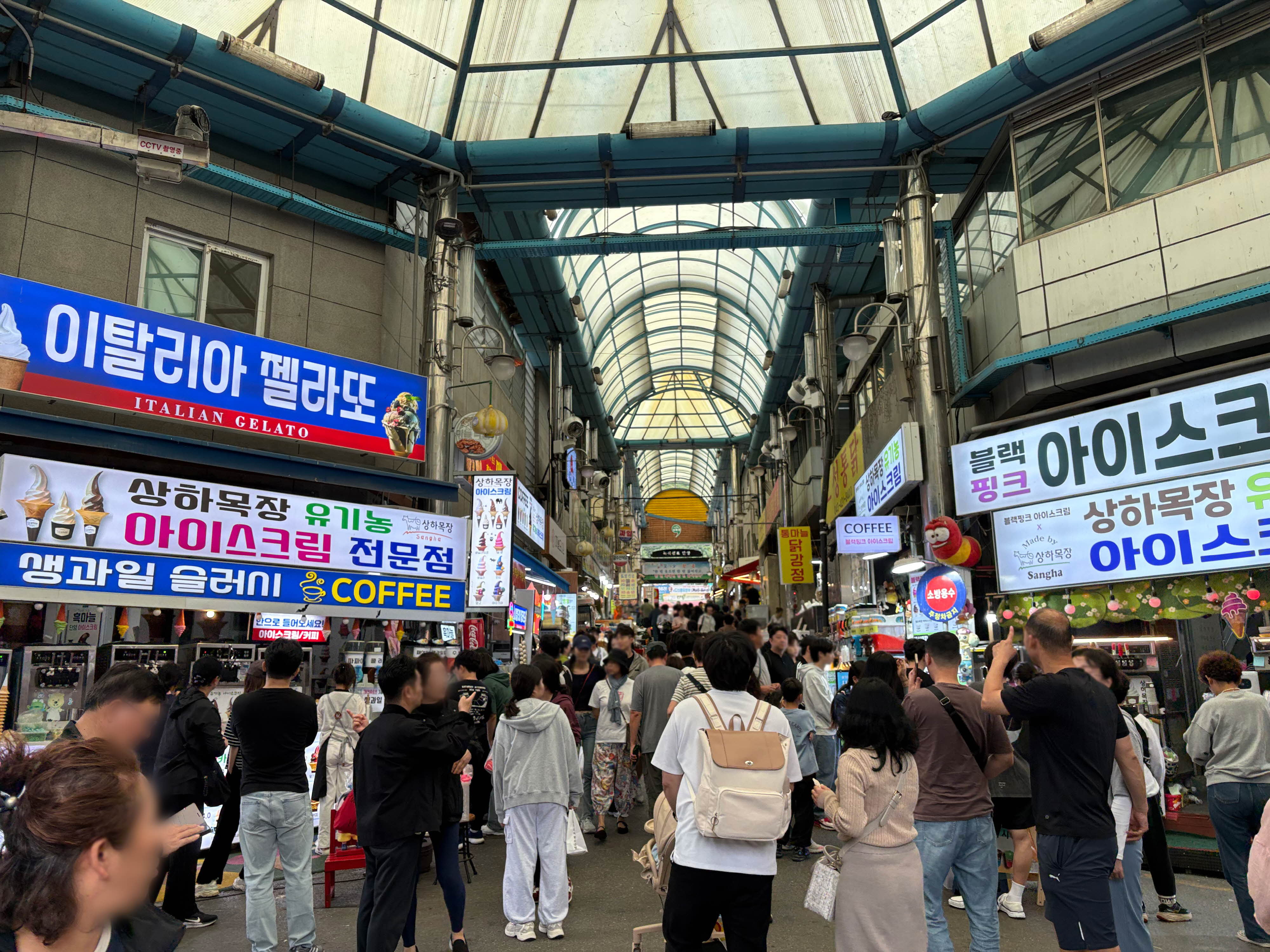 가을빛 단양, 추석 연휴 관광객 폭발… 주요 명소 대성황