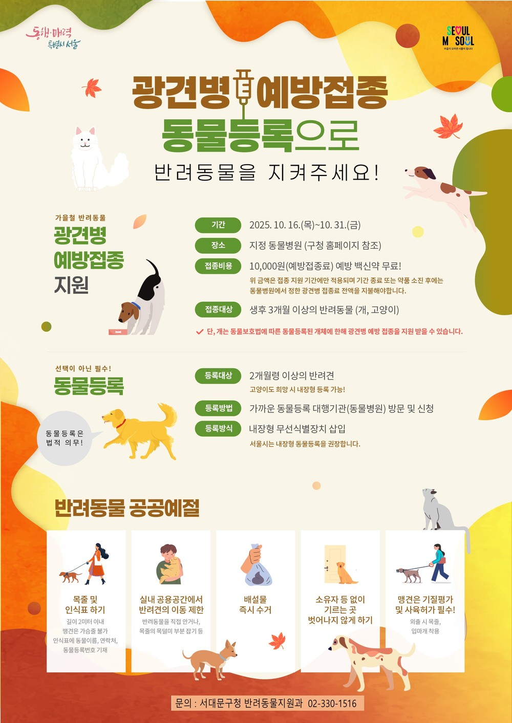 서대문구, 가을철 '댕냥이' 광견병 예방접종 지원..자부담 1만 원