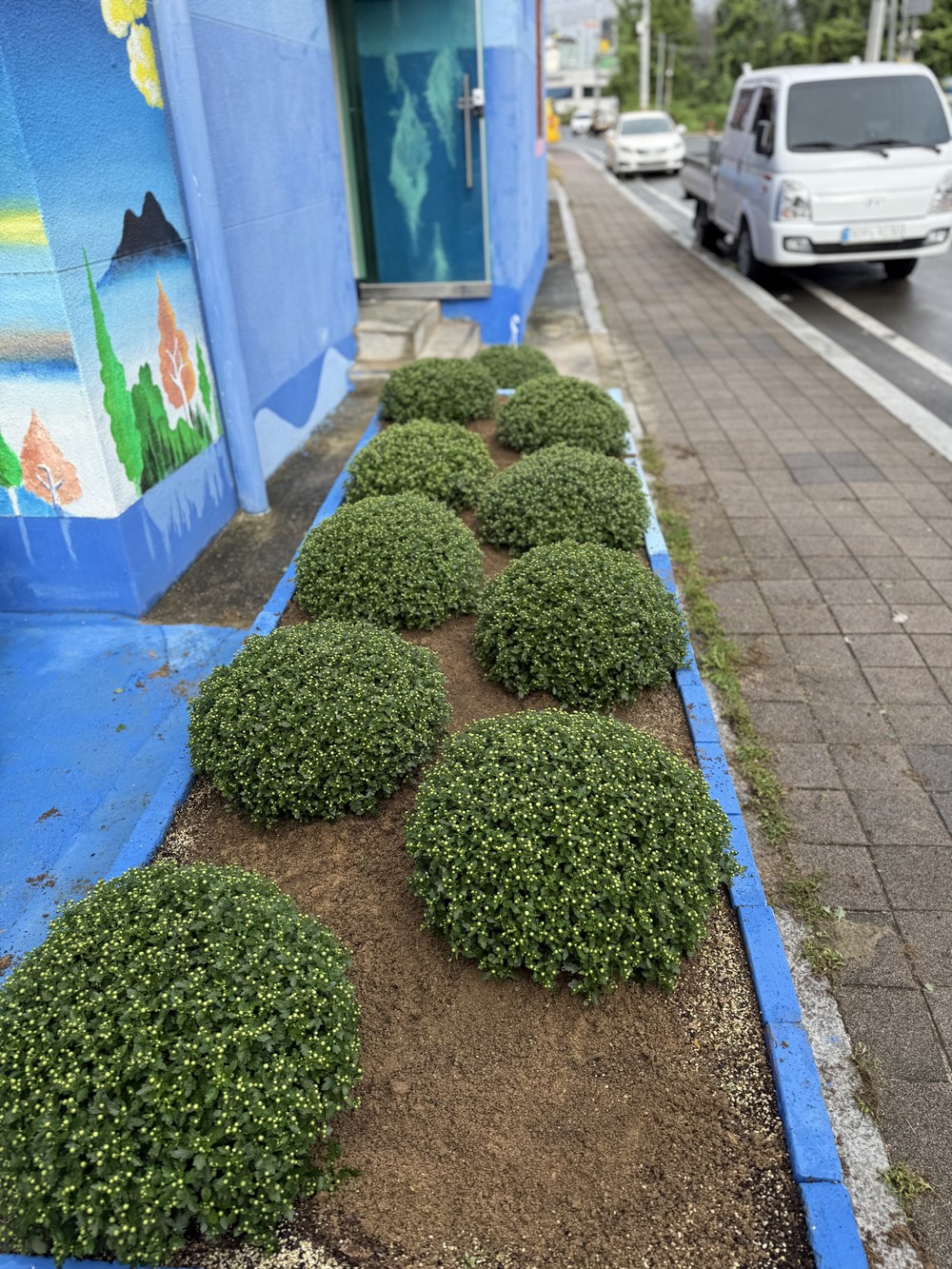 지산3리(왕릉마을) 마을 개선 사업 실시