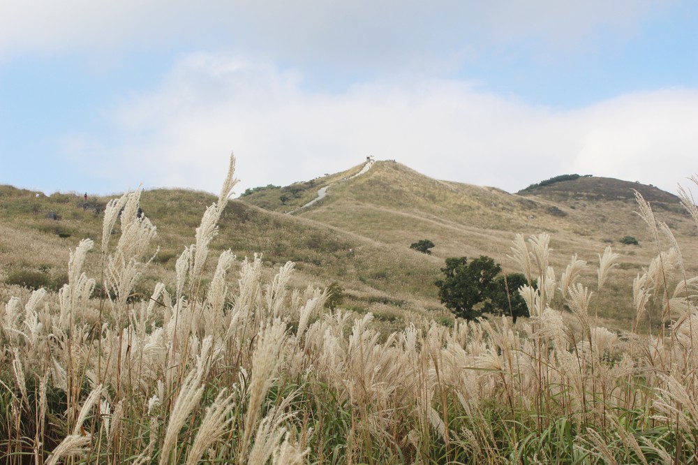 은빛 물결로 물드는 황매산, ‘2025 황매산 억새축제’