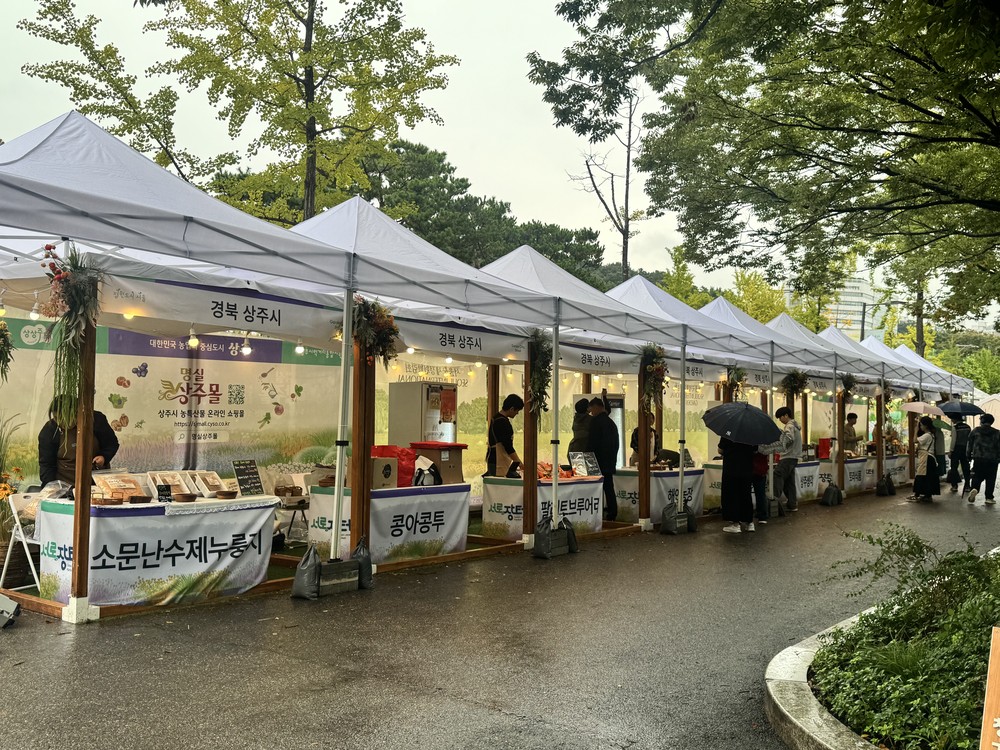 상주시 모두장터, 또 다시 서울시를 찾았다!!!