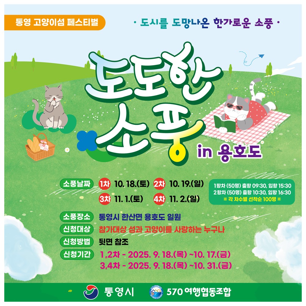 통영시, 도시를 떠나 고양이와 함께하는 치유 여행