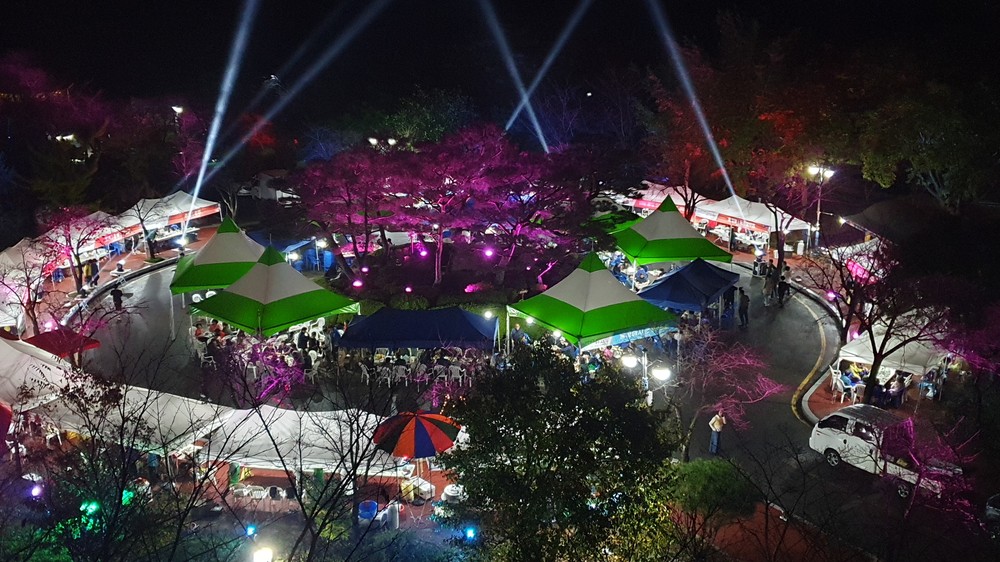 합천군 '2025년 대병 별꽃야시장 축제' 오는 17~18일 개최