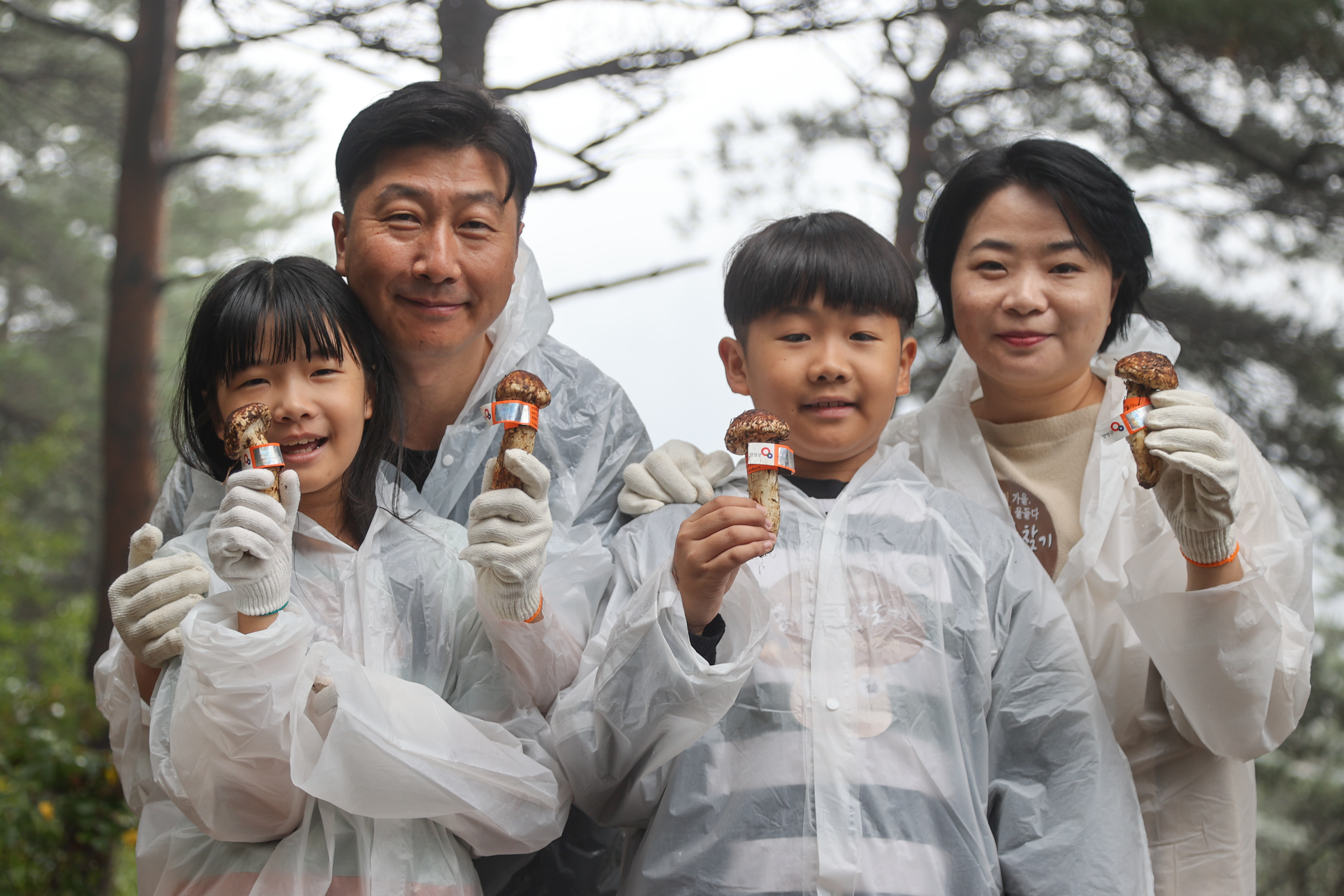 ‘2025 양양송이축제’, 3일간 10만 명 방문하며 성황리 마무리