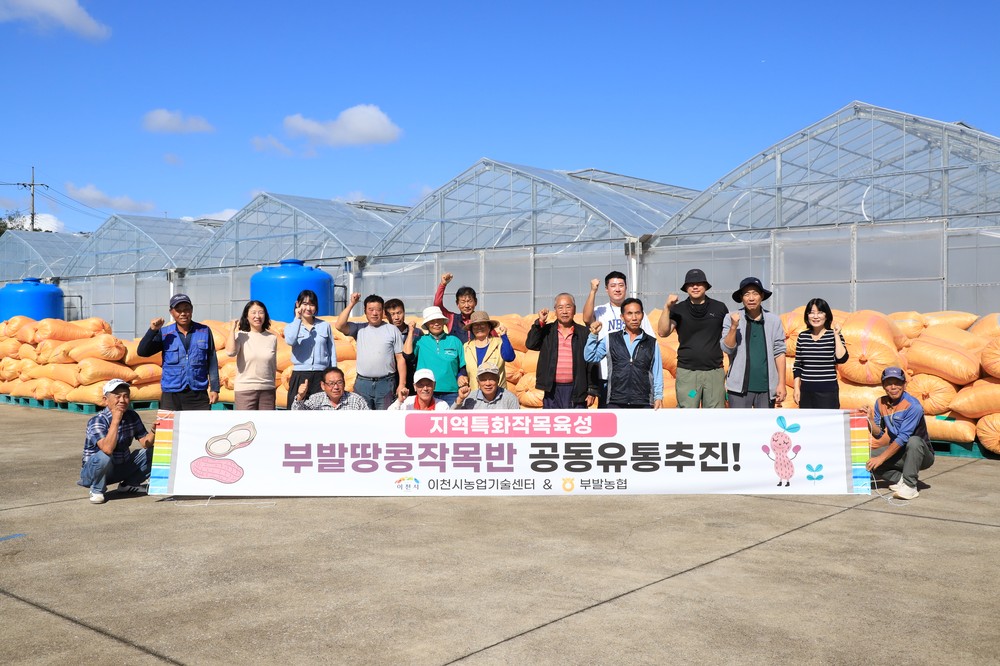 이천 부발땅콩, 첫 공동 유통 개시… 농가 소득 안정·지역경제 활력 기대