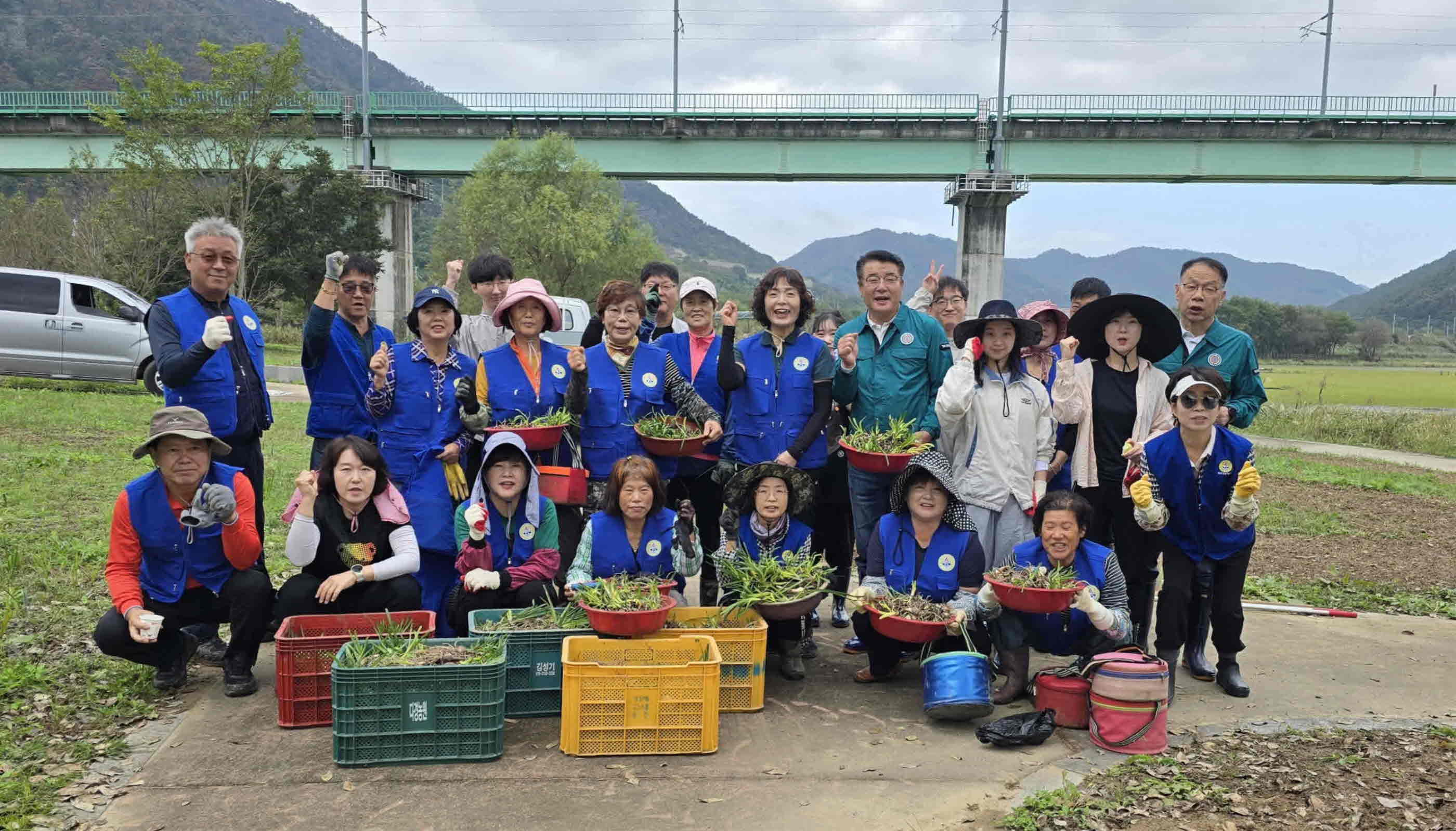삼랑진읍, 미전천 생태공원에 꽃무릇 1만 본 식재