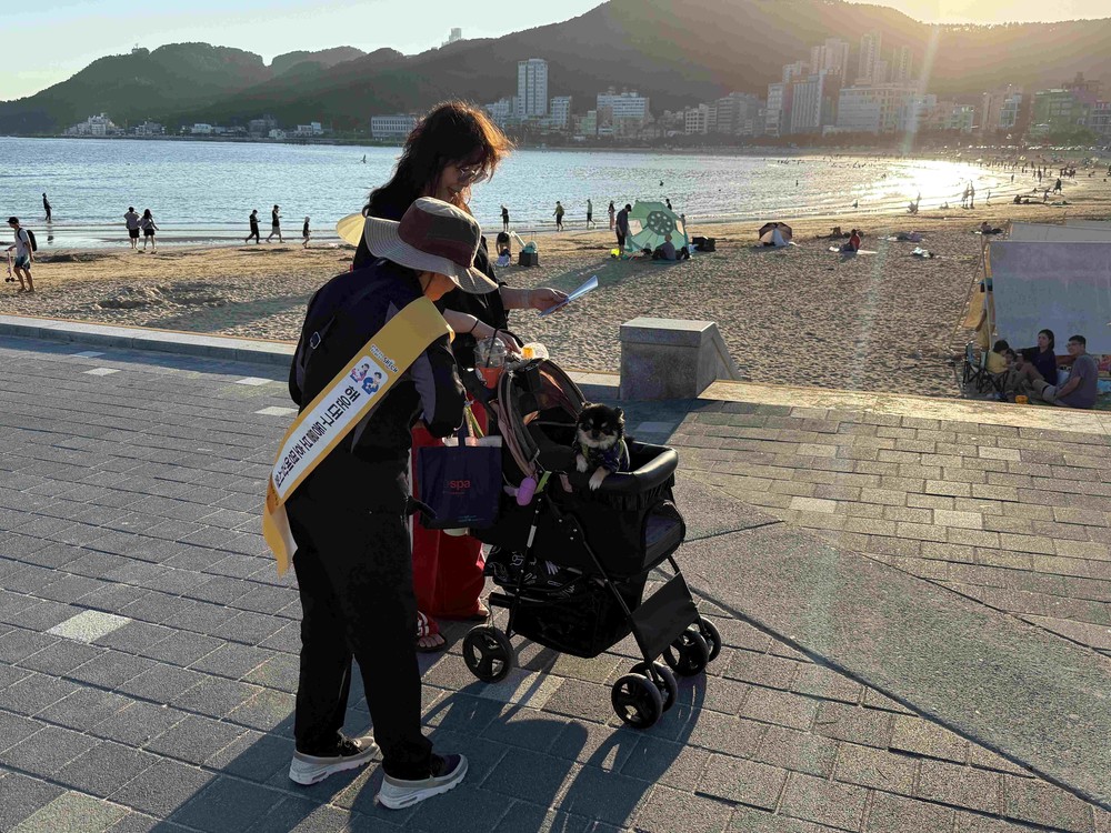해운대구, 송정 해수욕장서 펫티켓 민·관 합동 캠페인