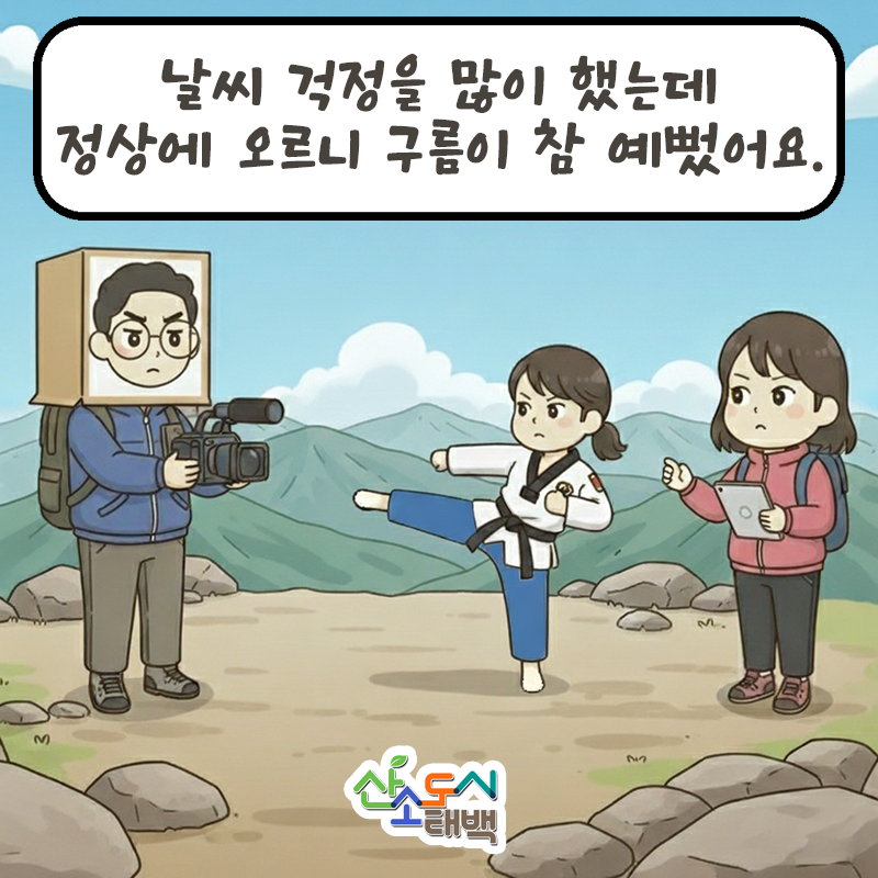태백시, ‘AI 인스타툰’ 정기 연재