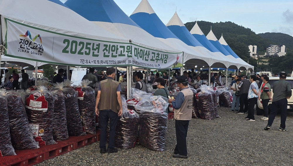 ‘2025 진안고원 마이산 고추시장’ 많은 관심 속 성료