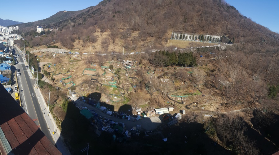 공동묘지에서 생태숲으로 탈바꿈, 산림청 주관 도시숲 우수사례 평가서 부산 남구“장려상”수상 쾌거