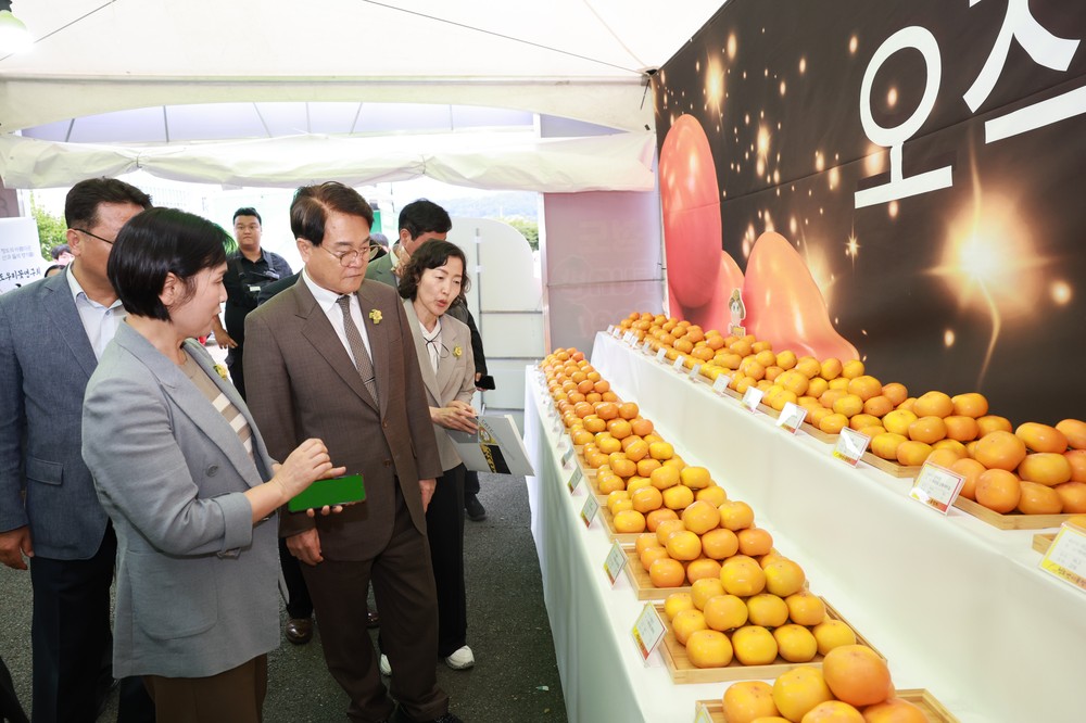 2025 청도반시 품평회 성황리 개최