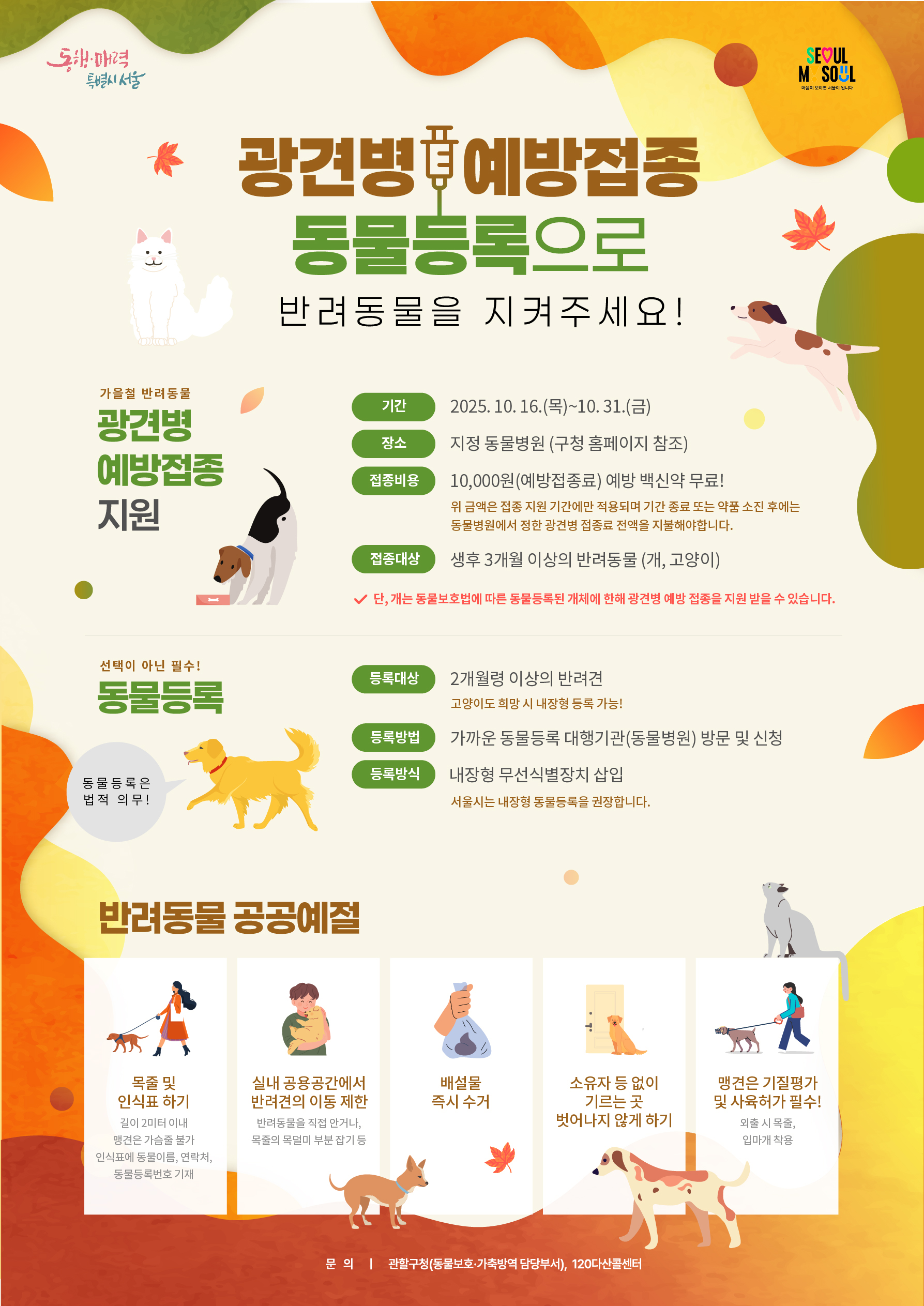 마포구, 2025년 가을철 광견병 예방접종 실시