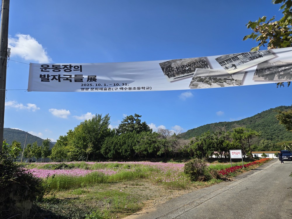 가을 코스모스 정취 속 추억의 운동장