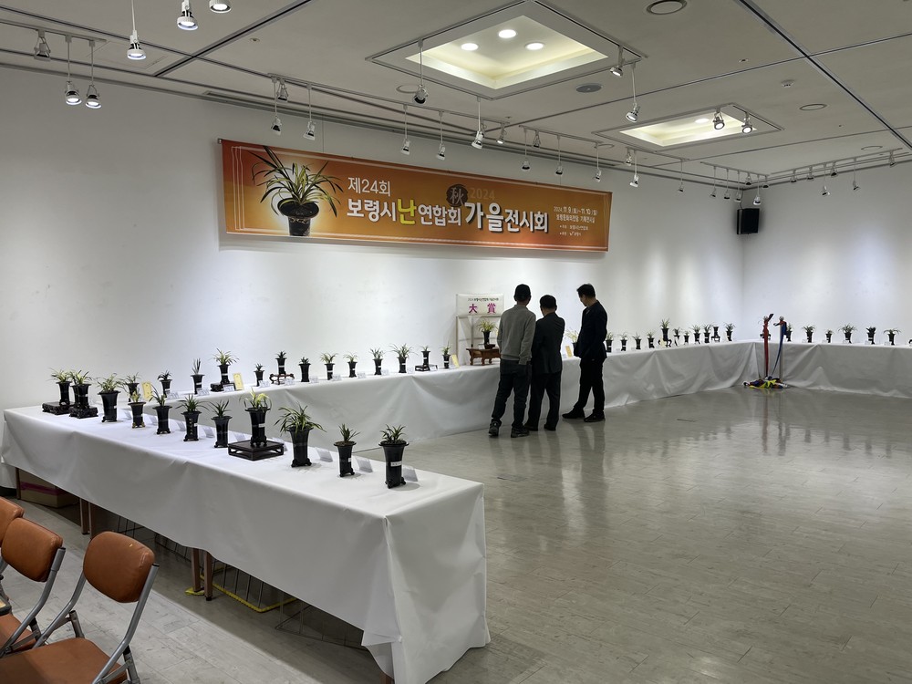 보령시 난 연합회, ‘한국춘란의 멋' 담은 가을 전시회 개최