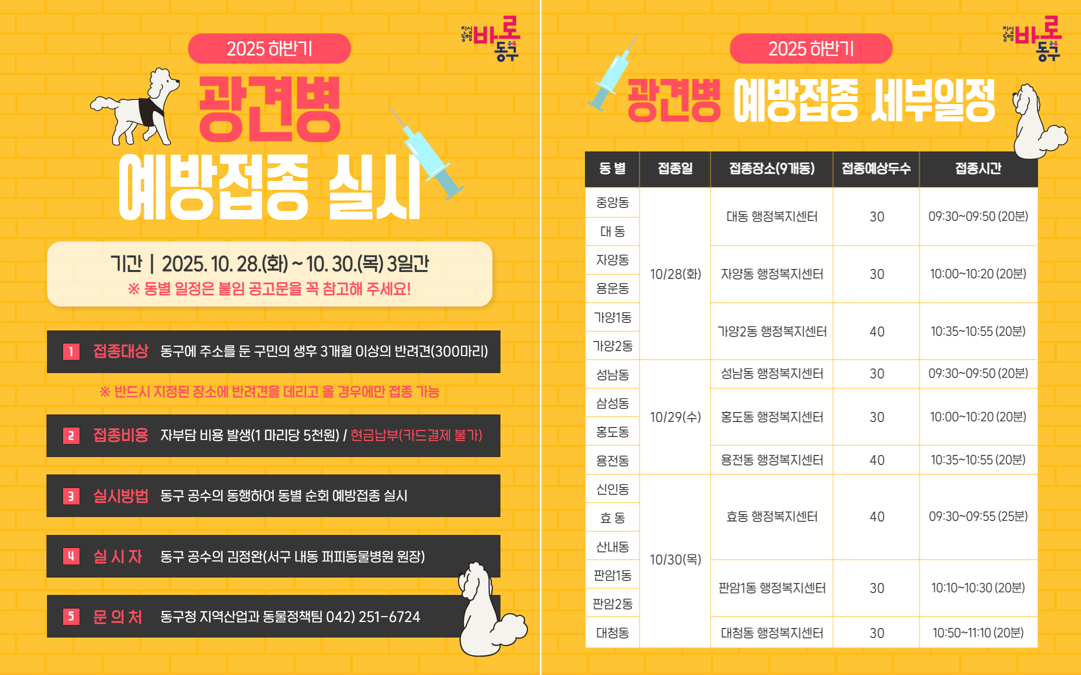대전 동구, 2025년 하반기 ‘광견병 예방접종’ 실시