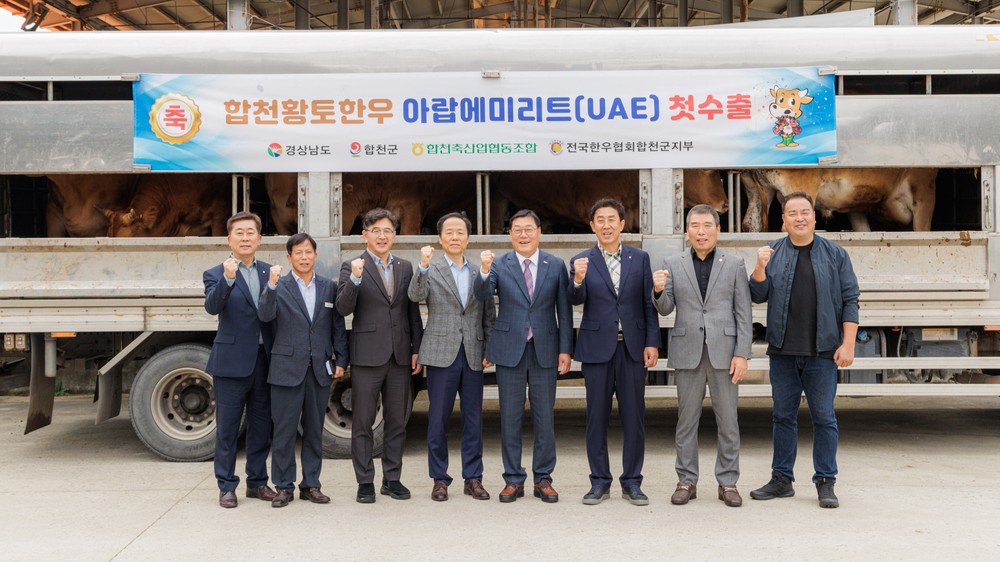 합천황토한우 아랍에미리트 첫 수출길 열어!