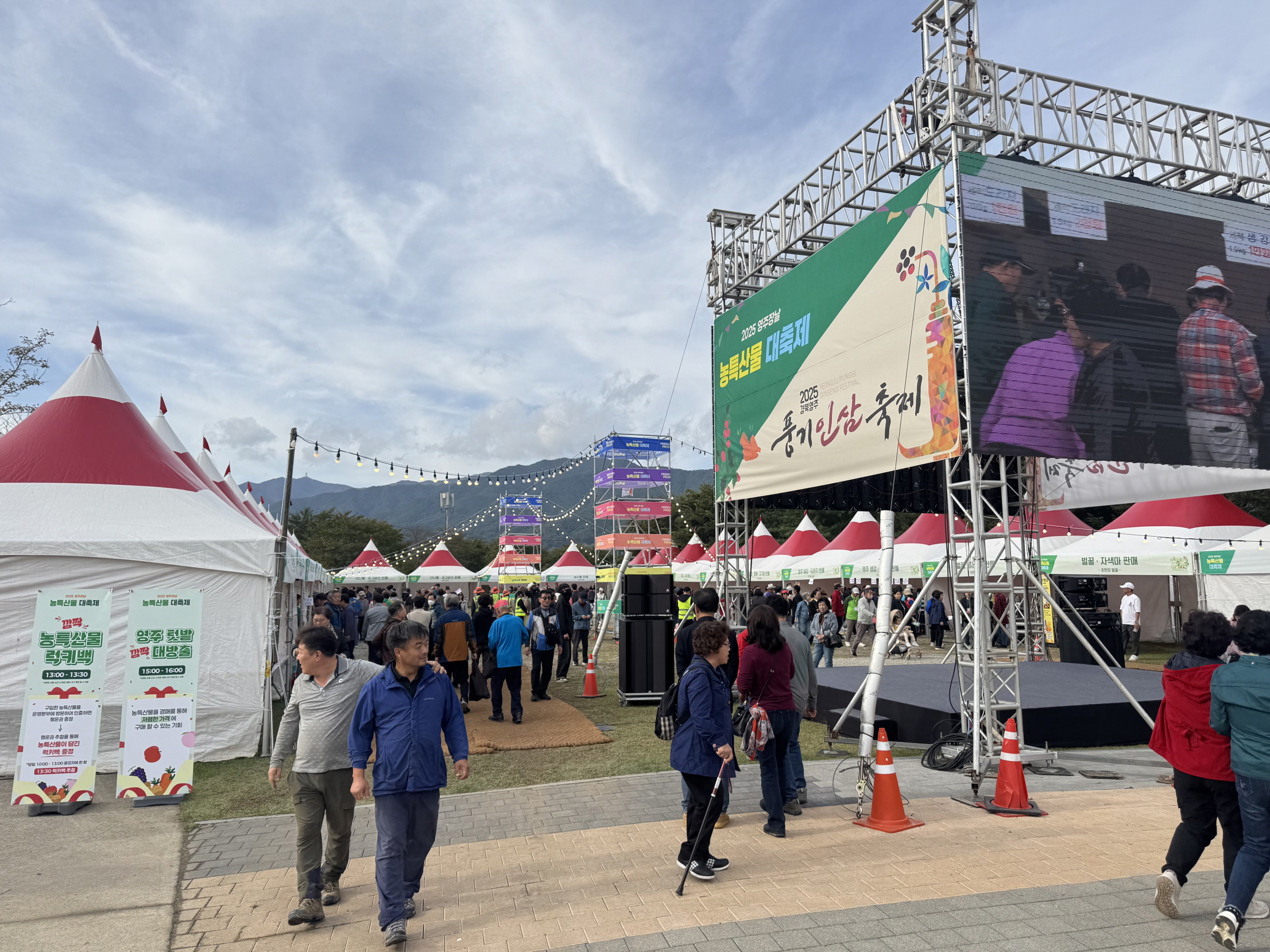 풍기인삼축제·농특산물대축제, 시민·관광객 발길 ‘북적’