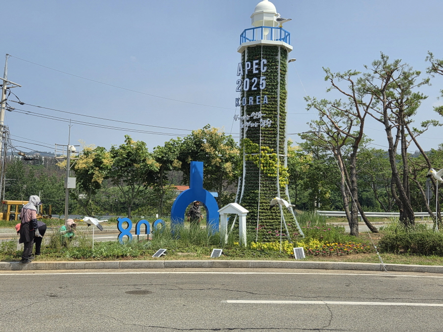 포항시, APEC 정상회의 대비 손님맞이 가로경관 조성 완료