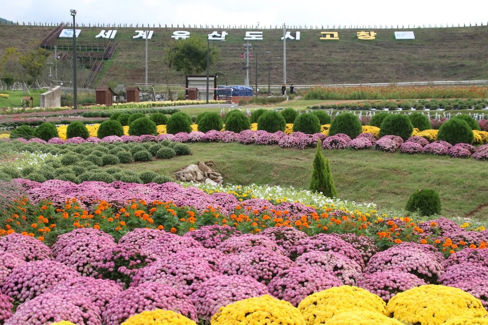 고창군, ‘2025 고창 꽃정원 행사개최’