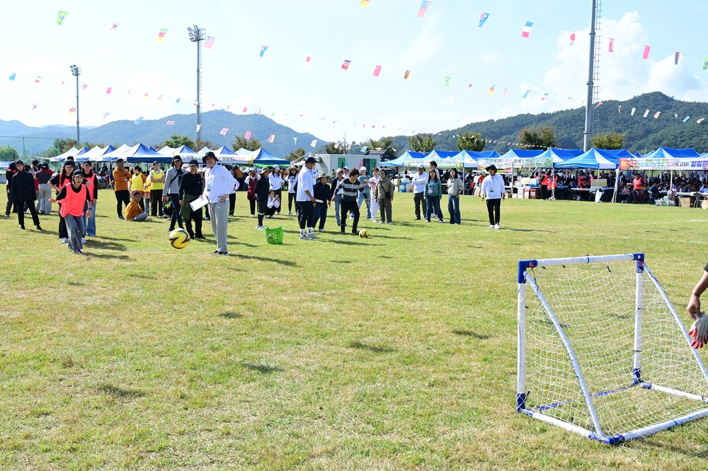 제60회 고령군민체육대회 성황리 개최!