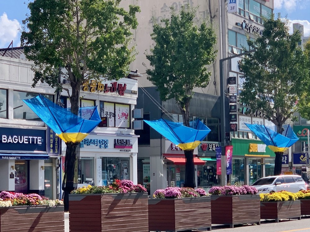 여주시, 은행나무 열매 악취 STOP!