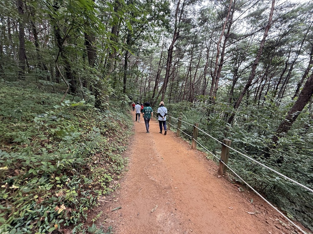 순천시, 조례호수공원 산책로 환하게 밝힐 조명공사 착공
