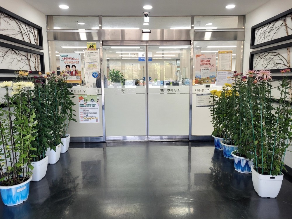 대화면 신리 전오현 씨, 정성 가득 국화 화분 기증