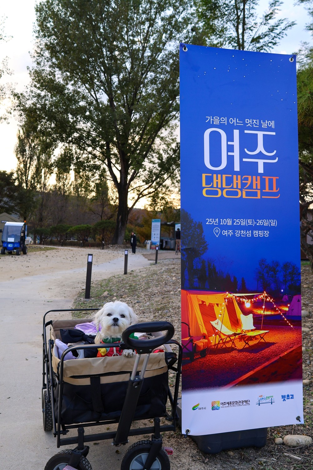여주세종문화관광재단, 반려동물과 함께하는 1박 2일 ‘댕댕캠프’ 운영