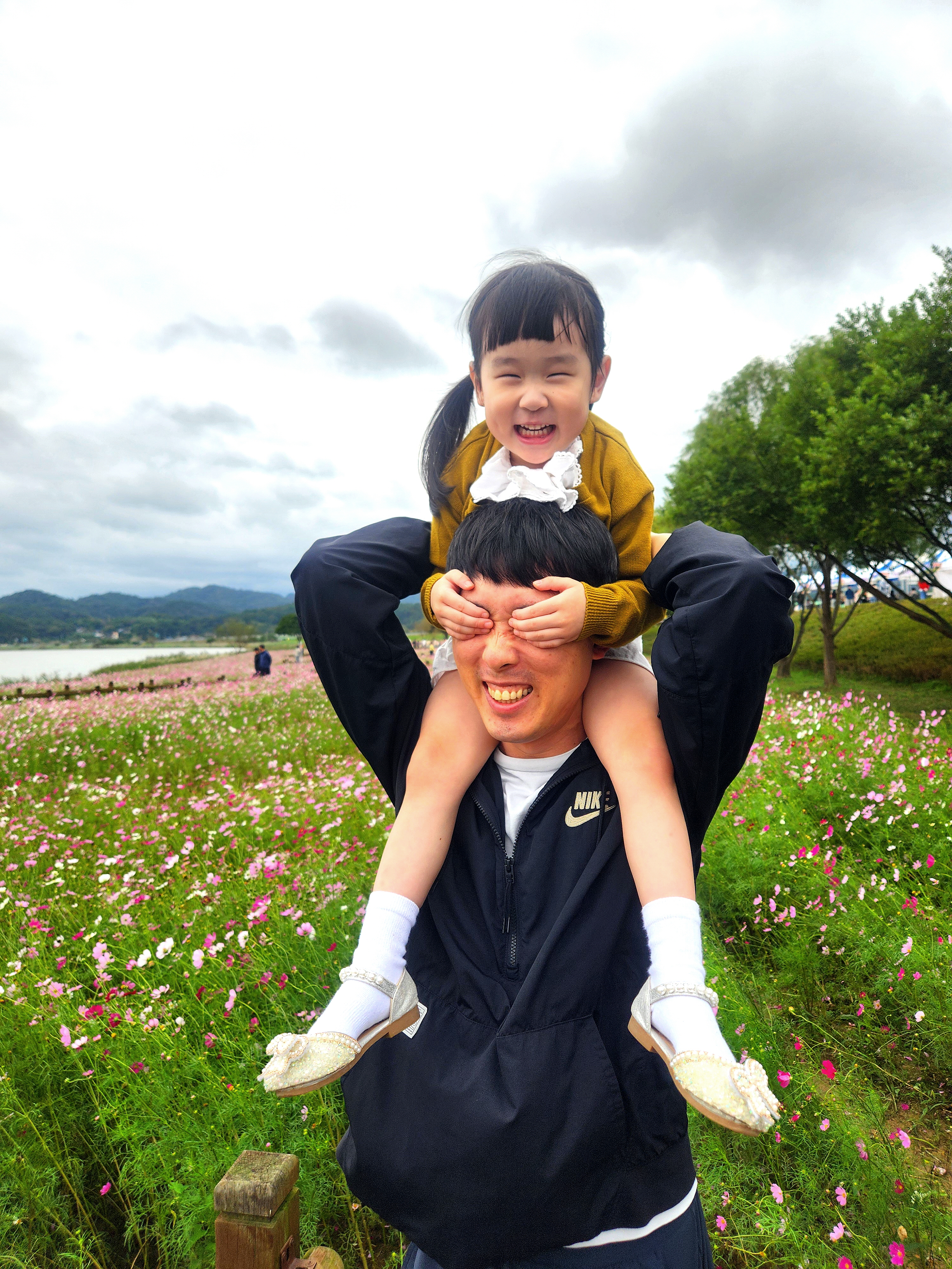몽탄면, 몽탄 코스모스축제‘코스모스 사진 공모전’첫 개최 성료