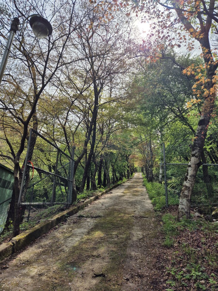 동두천시, ‘소요 숲 힐링공간 조성사업’ 착공