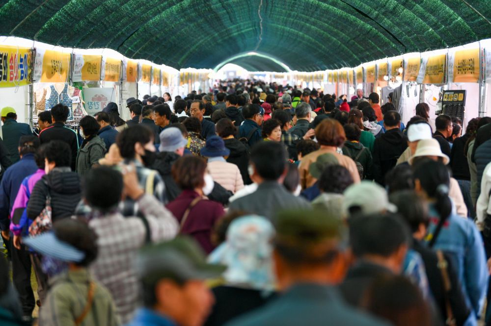 영주, 인삼과 농특산물로 물든 9일 건강과 풍요의 축제 성료