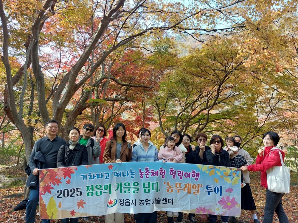 정읍 ‘농뚜레일 투어’ 성황…내장산 단풍과 막걸리 체험 결합
